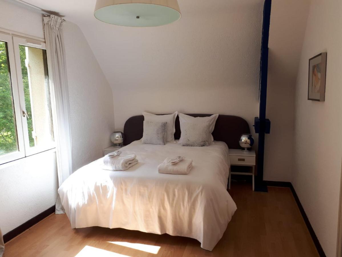 Lassay-sur-Croisne Domaine Providence Bed & Breakfast エクステリア 写真